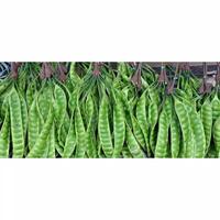 Gambar FreshPAK - Sayur Pete pertangkai / per papan / Petai / Pasar Andalan - 3 tangkai dari FreshPAK - Pasar Andalan Kita undefined 1 Tokopedia