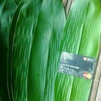 Gambar Ready per 100 lembar daun bambu lebar panjang buat bungkus bacang dari sallam herbal undefined 1 Tokopedia