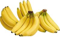 Gambar Bibit Tanaman Buah Pisang Cavendish super dari Agro Bibit Sharga undefined 2 Tokopedia