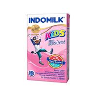 Gambar Indomilk Kids Susu UHT Rasa Stroberi 115ml dari TOKO MURSALIM undefined 1 Tokopedia