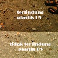 Gambar Plastik UV Lebar 3 m meter 3m 6% Atap Green House Tanaman Hidroponik dari BB Seed undefined 3 Tokopedia