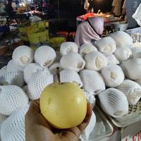 Gambar Pir Madu 1kg(1000gram) dari Vanana Fresh Mart undefined 2 Tokopedia