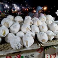 Gambar Pir Madu 1kg(1000gram) dari Vanana Fresh Mart undefined 1 Tokopedia