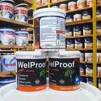 Gambar Cat Pelapis Anti Bocor Welproof 1 Kg - Abu-abu dari Warna Abadi Jemursari undefined 5 Tokopedia