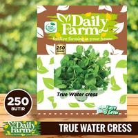 Gambar DF benih selada air TRUE WATER CRESS 250 butir import daily farm dari Newtokotani99 undefined 1 Tokopedia