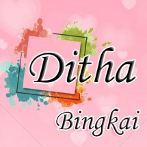 Logo DiTha Design Karikatur