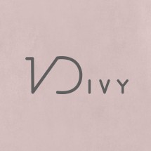 Logo VDIVY