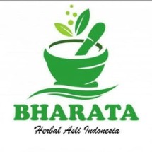 Logo WARUNG_ALAMI_BHARATA