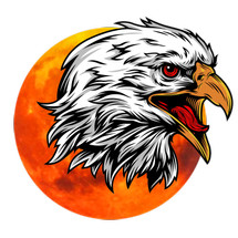 Logo Rajawali Perkasa 66