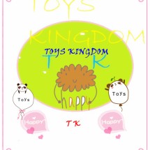 Logo Toys Kingdom18