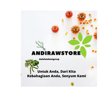 Logo Andirawstore