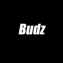 Logo BUDZ ID