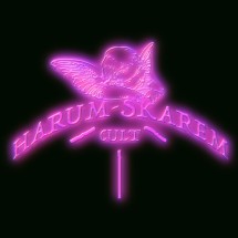 Logo harum-skarem