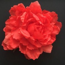 Logo Peony Jade