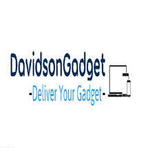 Logo Davidsongadget19