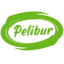Logo pelibur