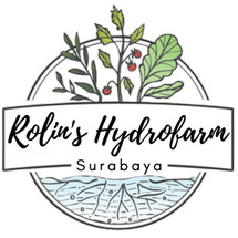 Logo Rolins Surabaya