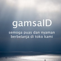 Logo gamsaID