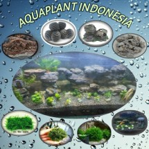 Logo AQUAPLANT INDONESIA