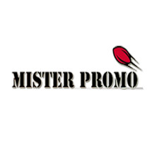 Logo mister promo