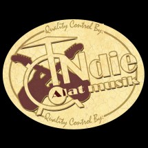 Logo INDIE MUSIC INSTRUMENT