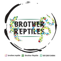 Logo Brother Reptile