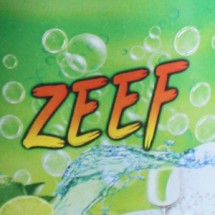 Logo Zeef Store