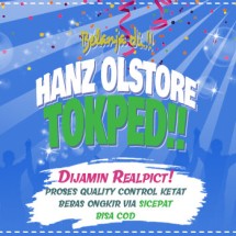 Logo Hanz Olstore