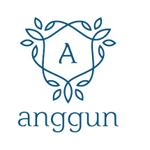 Logo angguntansyah