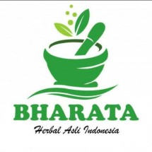 Logo BHARATA INTERNASIONAL