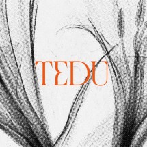 Logo Tedu Official