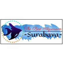 Logo TBA Surabaya