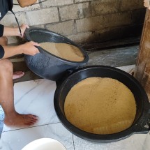 Logo Telur jangkrik alam 1 kg