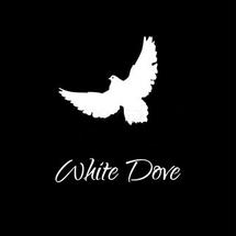Logo WHITE DOVE SURABAYA