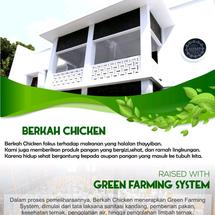 Logo Berkah Chicken Jaksel