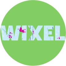 Logo WIXEL SOTRE