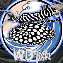 Logo wdfish