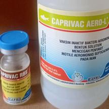 Jual Obat ikan dan udang sanbefarma oxysan aquatic oxytetracycline ...