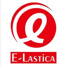 Logo E-Lastica