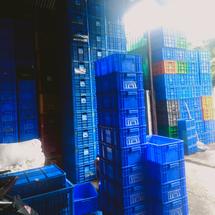 Jual box container rabbit 6688, box plastik, box ikan, box multifungsi ...
