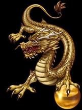 Logo "Dragon Shop"
