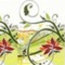 Logo Cantika Onlineshop
