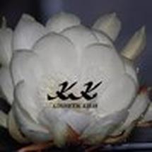 Logo KOSMETIK KIREI
