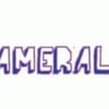 Logo Cameralomoku