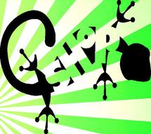 Logo GECKO SHOP