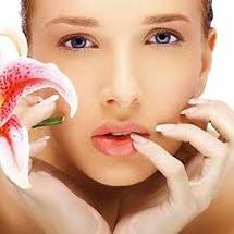 Logo HOUSE OFF BEAUTY