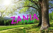 Logo zania herbal