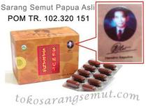 Logo Toko Sarang Semut