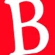 Logo BisaBizDotCom