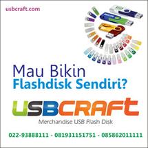 Logo USBCRAFT